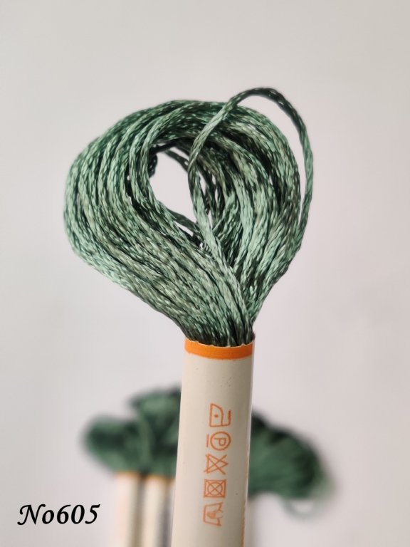 605 (DMC502) (1) (Medium)